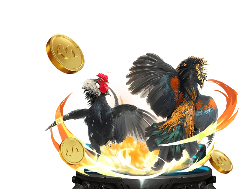 Casino Trực Tuyến nhatvip888