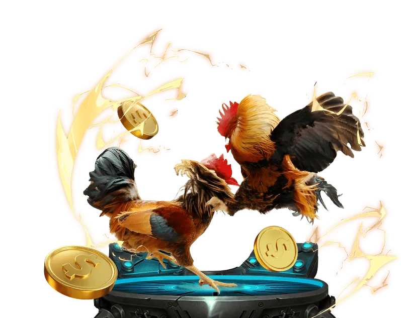 nhatvip888 - Nền tảng uy tín